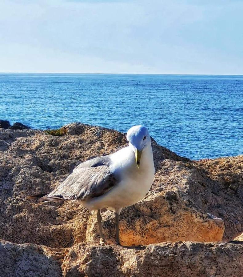 Comodo Apartamento Cerca Del Mar Санта Пола Экстерьер фото